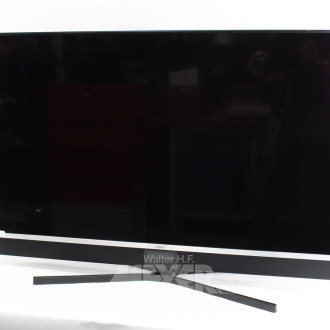 TV-Gerät 49"