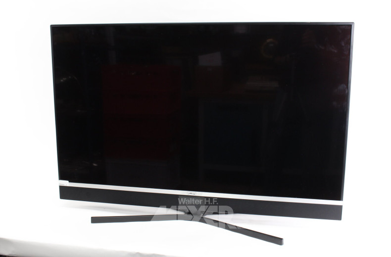 TV-Gerät 49"