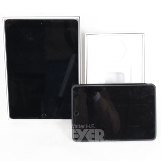 2 Apple iPad und iPad Mini