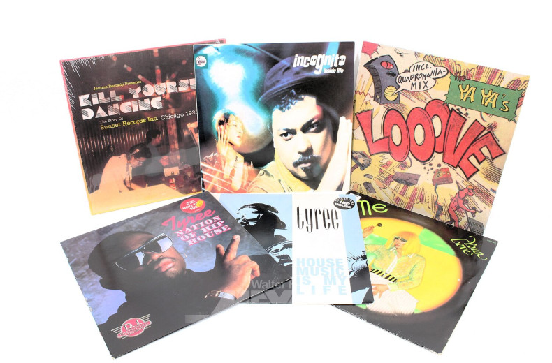 unfangreiche Schallplattensammlung, überwiegend Maxi und DJ-Pressungen, von ca. 3.000 Stück