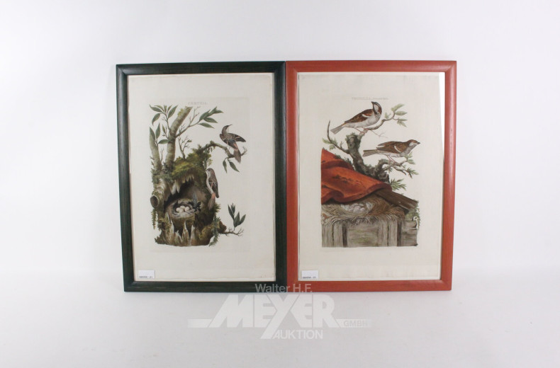 2 Stiche mit Pflanzen- und Vogelmotiven