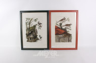 2 Stiche mit Pflanzen- und Vogelmotiven