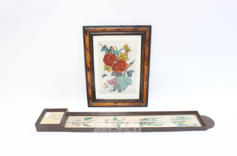 2 Botanische Druckgrafiken