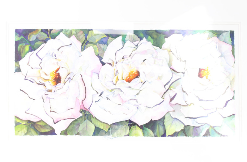 Aquarell "3 weiße Rosen"
