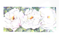 Aquarell "3 weiße Rosen"