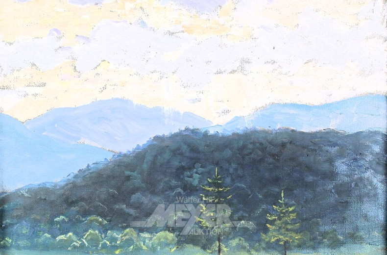 Gemälde 'Berglandschaft mit Rapsfeld'