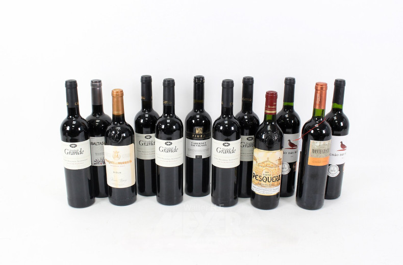 12 Flaschen Rotweine aus Portugal und Spanien, 2001-2015