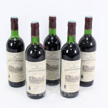 Los 494: 5 Flaschen Bordeaux Saint-Estèphe 1981