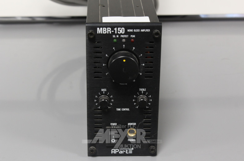 professioneller Mono-Block Endverstärker