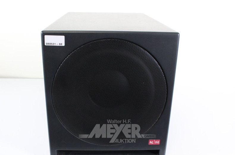 aktiv Studio-Subwoofer