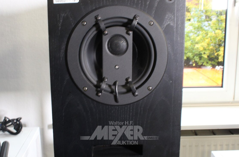 Paar Referenz-Hauptregielautsprecher