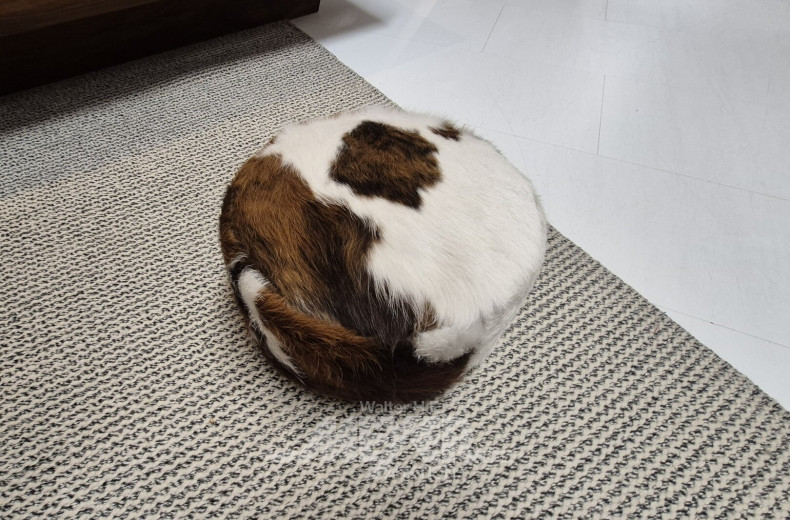 Meditationskissen aus Kuhfell