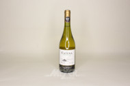 13 Flaschen Weißwein, 2020 CATENA CHARDONNAY, Argentina