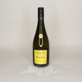 17 Flaschen Schaumwein 'più Frizzante Bianco'