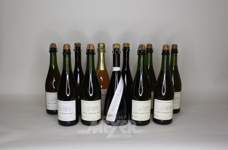 Posten versch. Apfelweine und weitere Weine