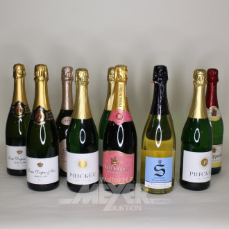 Posten versch. Sorten Sekt u. Weine
