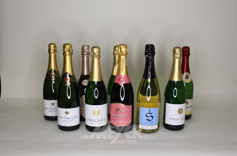 Posten versch. Sorten Sekt u. Weine
