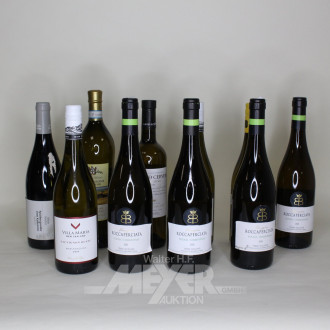 Posten versch. Weißweine