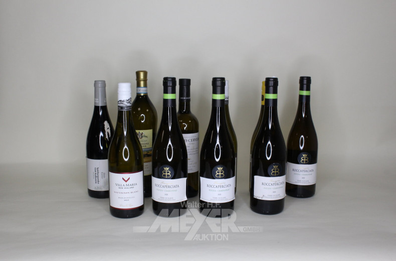 Posten versch. Weißweine