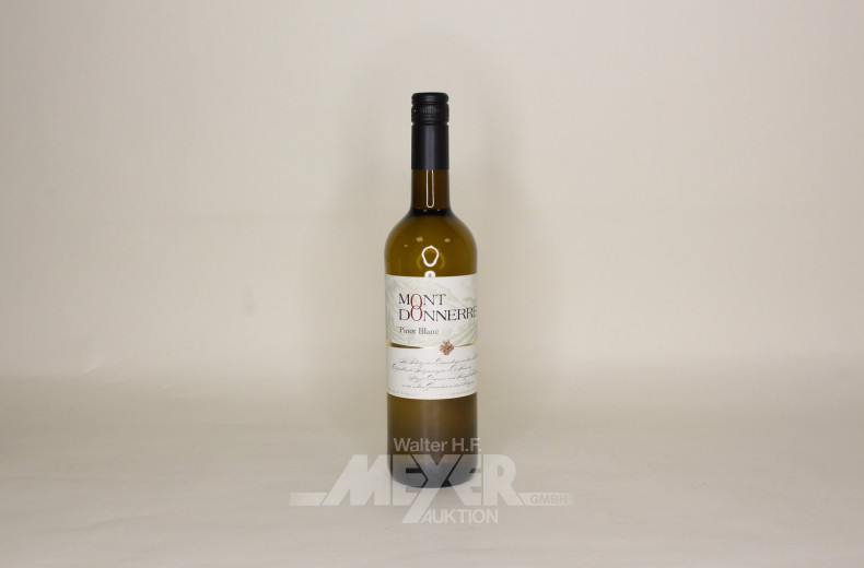 252 Flaschen Weißwein Pinot Blanc 2022