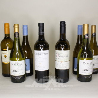 Posten versch. Weißweine