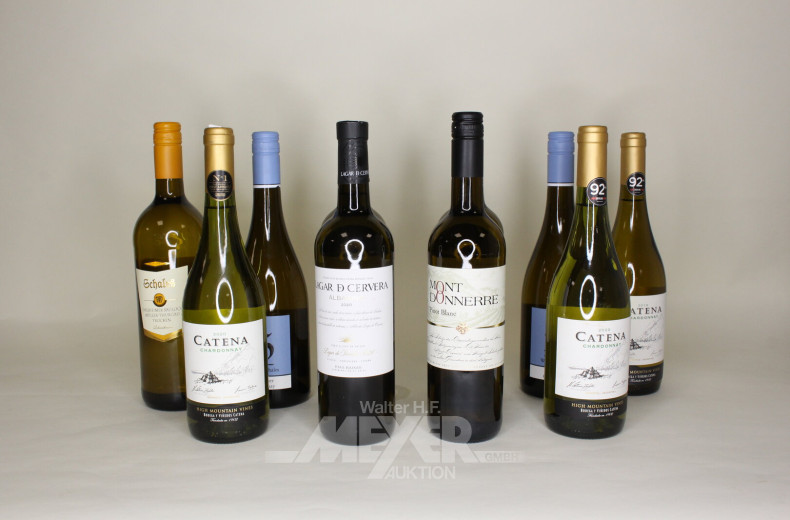 Posten versch. Weißweine