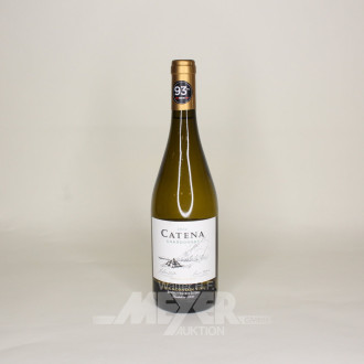 17 Flaschen Chardonnay, Mendoza, versch. Jahrgänge