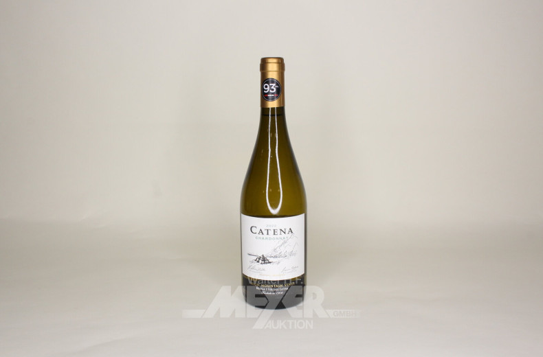 17 Flaschen Chardonnay, Mendoza, versch. Jahrgänge