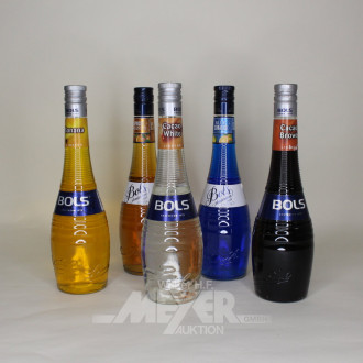 5 Flaschen Likör, div. Sorten