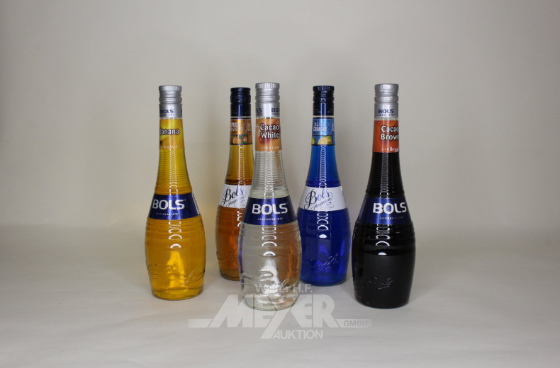 5 Flaschen Likör, div. Sorten