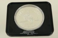 Kanada 1 Dollar Calgary 1975 in Polierter Platte
