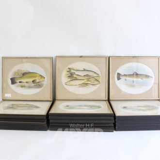 31 Druckgrafiken mit Fischdarstellungen