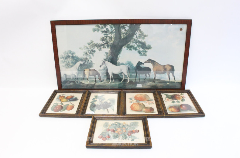 7 Druckgrafiken mit Darstellungen von Pferden und Früchten