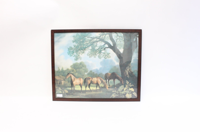 7 Druckgrafiken mit Darstellungen von Pferden und Früchten