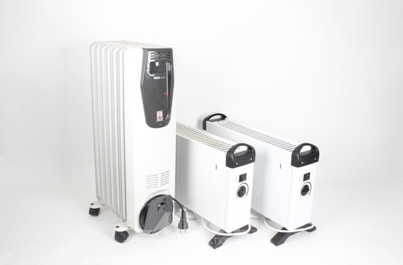 2 Elektroheizungen und 1 Radiator