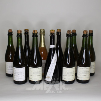 Posten versch. Apfelweine und weitere Weine