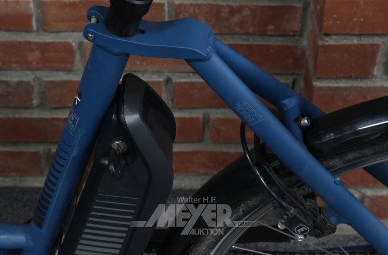 Damen-E-Bike, Blau