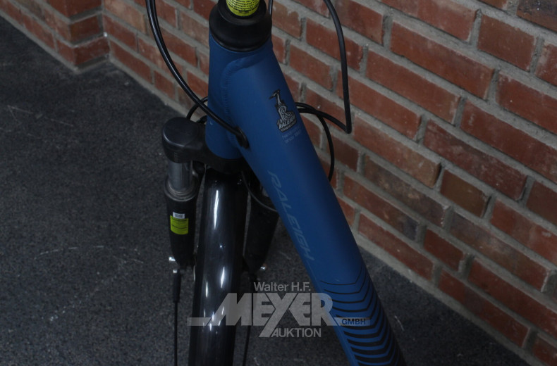 Damen-E-Bike, Blau