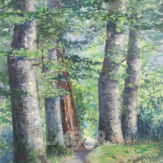 2 Mischtechniken und 1 Aquarell, div. Motive