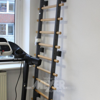 Sprossenwand, Metall/Buche