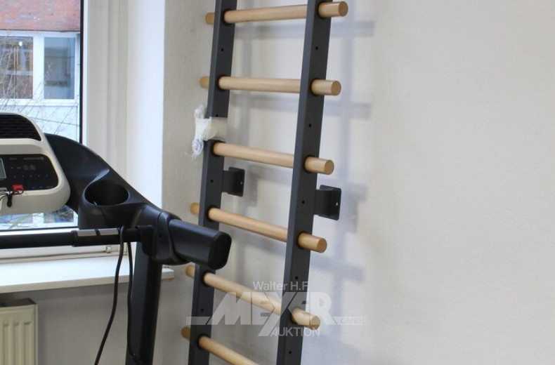 Sprossenwand, Metall/Buche