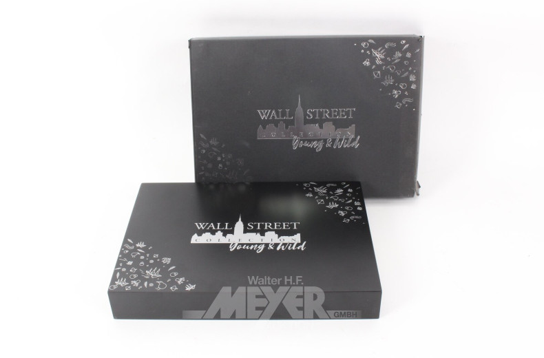 Sammler-Edition 'The Wall Street Silver Collection Young & Wild' 2021