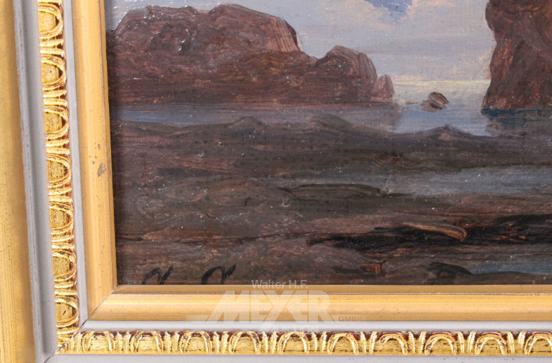 Gemälde 'Junge mit Fischnetz an Felsenküste'