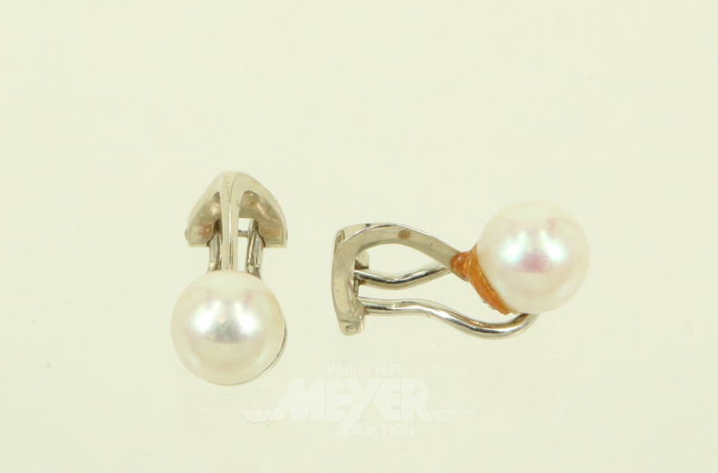 Paar Perlenohrclipse