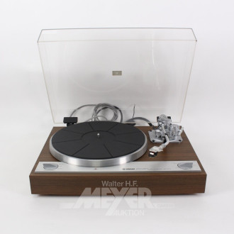 Schallplattenspieler