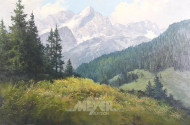 Gemälde 'Alpenlandschaft mit Blumenwiese'