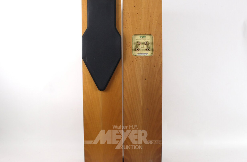 Paar Standlaufsprecher