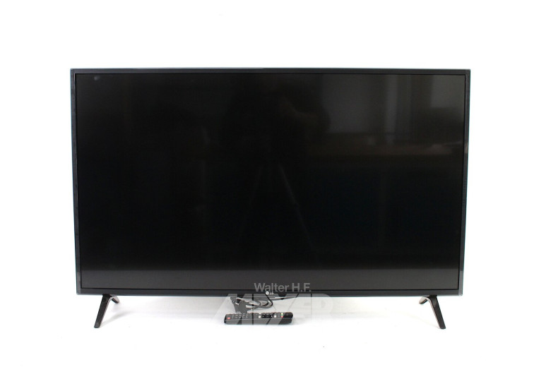 TV-Gerät, 43"