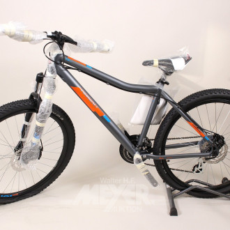 Jugendfahrrad, grau matt, 26 Zoll