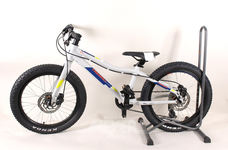 Kinder-Mountainbike, hellgrau